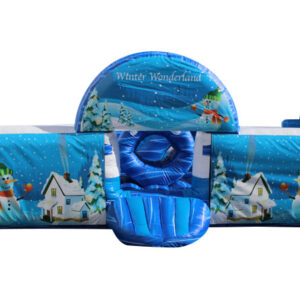 winter wonderlad