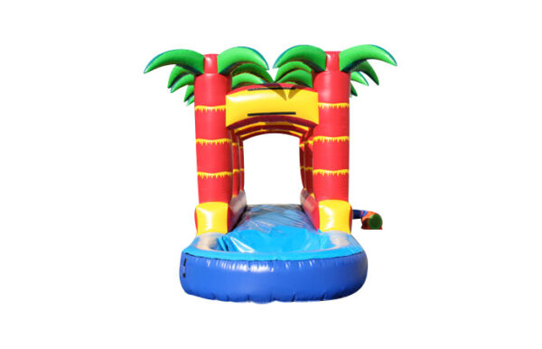 tropical slip and slide - Image 3