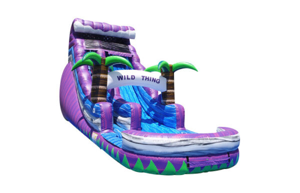18ft wild thing - Image 4