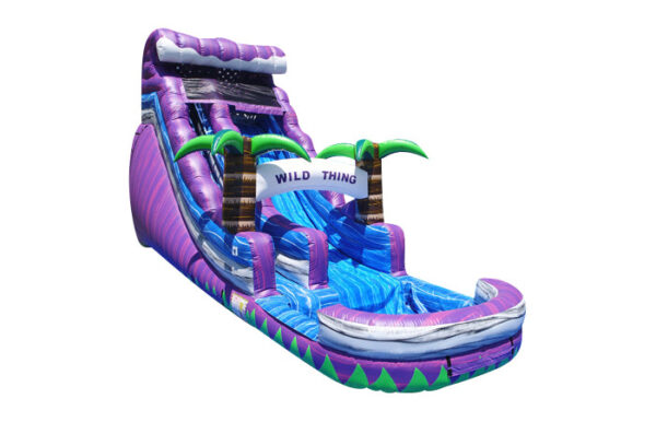 18ft wild thing - Image 3