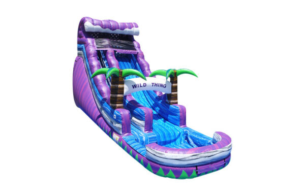 18ft wild thing - Image 2
